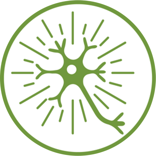 ico-neuralactivity